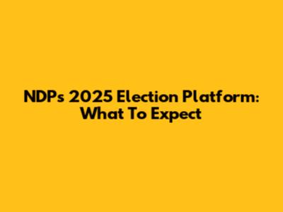 NDP's 2025 Election Platform: What To Expect