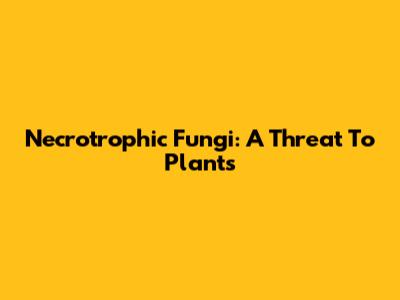 Necrotrophic Fungi: A Threat To Plants