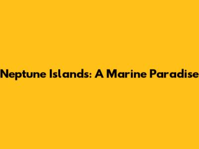 Neptune Islands: A Marine Paradise