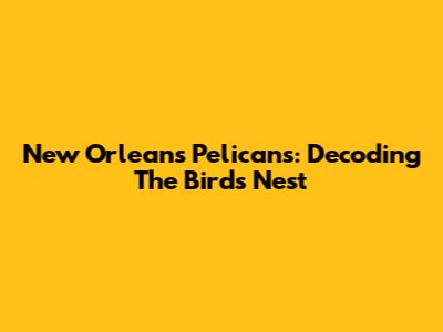 New Orleans Pelicans: Decoding The Bird's Nest