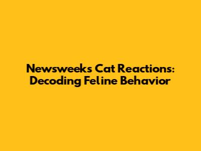 Newsweek's Cat Reactions: Decoding Feline Behavior