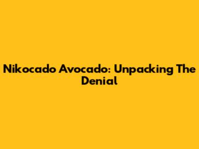 Nikocado Avocado: Unpacking The "Denial"