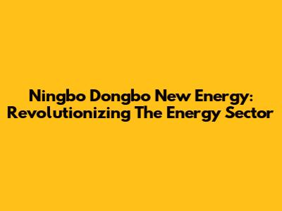 Ningbo Dongbo New Energy: Revolutionizing The Energy Sector