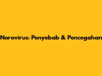 Norovirus: Penyebab & Pencegahan