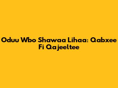 Oduu Wbo Shawaa Lihaa: Qabxee Fi Qajeeltee