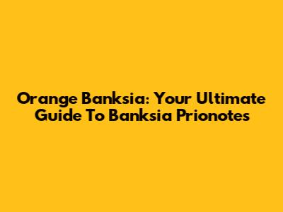 Orange Banksia: Your Ultimate Guide To Banksia Prionotes