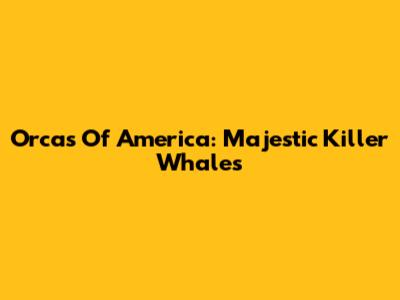 Orcas Of America: Majestic Killer Whales