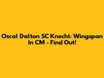 Oscal Dalton SC Knecht: Wingspan In CM - Find Out!