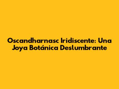 Oscandharnasc Iridiscente: Una Joya Botánica Deslumbrante