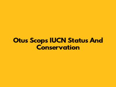 Otus Scops IUCN Status And Conservation