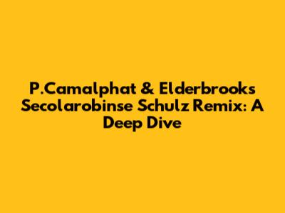 P.Camalphat & Elderbrook's "Secolarobinse" Schulz Remix: A Deep Dive