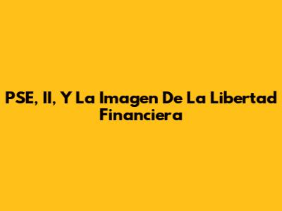 PSE, II, Y La Imagen De La Libertad Financiera