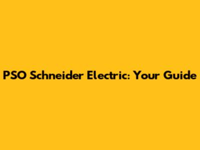 PSO Schneider Electric: Your Guide
