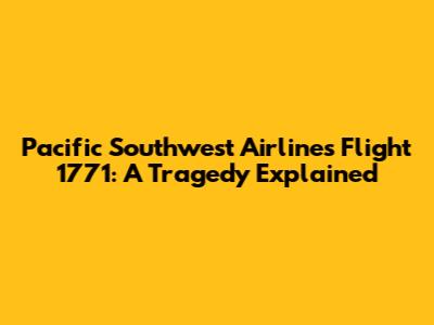 Pacific Southwest Airlines Flight 1771: A Tragedy Explained