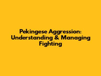 Pekingese Aggression: Understanding & Managing Fighting