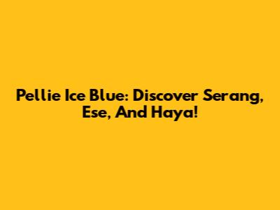 Pellie Ice Blue: Discover Serang, Ese, And Haya!