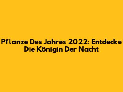 Pflanze Des Jahres 2022: Entdecke Die 'Königin Der Nacht'