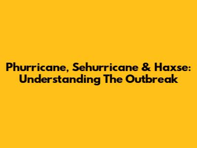 Phurricane, Sehurricane & Haxse: Understanding The Outbreak