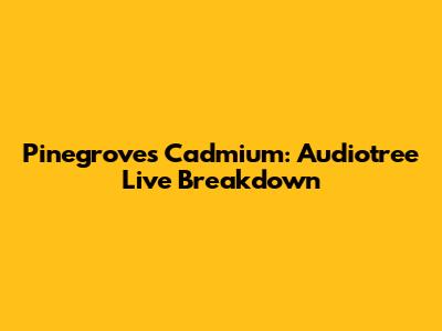 Pinegrove's 'Cadmium': Audiotree Live Breakdown