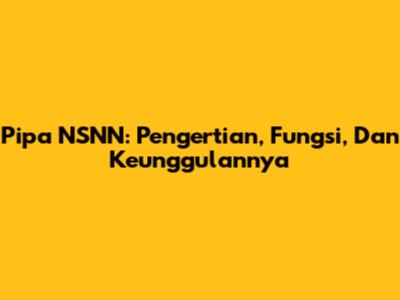 Pipa NSNN: Pengertian, Fungsi, Dan Keunggulannya