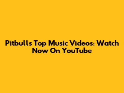 Pitbull's Top Music Videos: Watch Now On YouTube