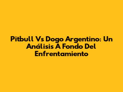 Pitbull Vs Dogo Argentino: Un Análisis A Fondo Del Enfrentamiento