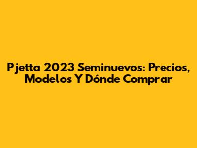Pjetta 2023 Seminuevos: Precios, Modelos Y Dónde Comprar