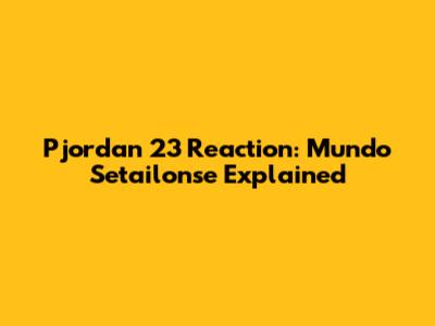 Pjordan 23 Reaction: Mundo Setailonse Explained