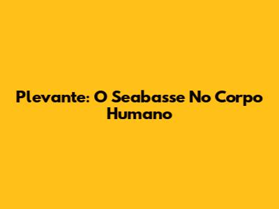 Plevante: O Seabasse No Corpo Humano