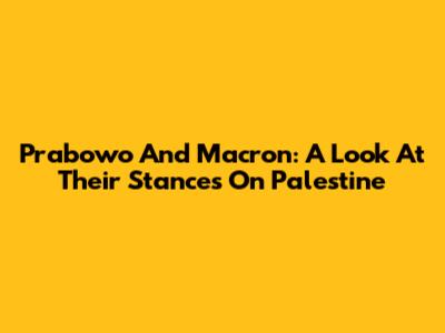Prabowo And Macron: A Look At Their Stances On Palestine