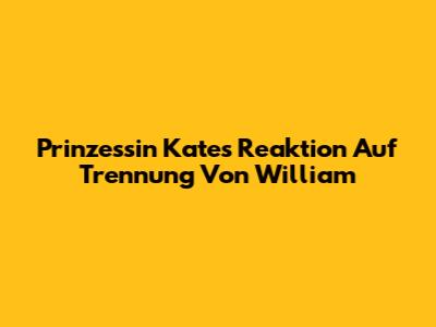 Prinzessin Kates Reaktion Auf Trennung Von William