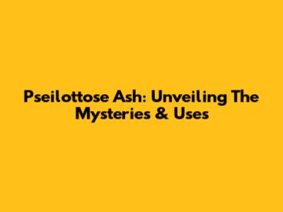 Pseilottose Ash: Unveiling The Mysteries & Uses