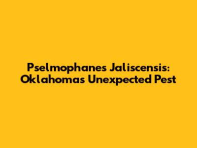 Pselmophanes Jaliscensis: Oklahoma's Unexpected Pest