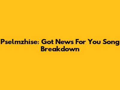 Pselmzhise: "Got News For You" Song Breakdown