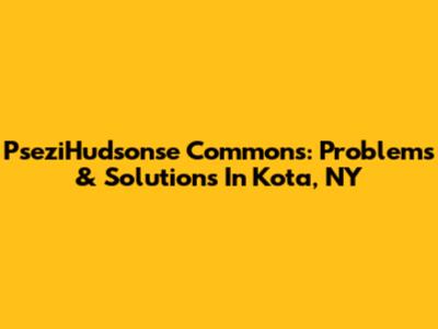 PseziHudsonse Commons: Problems & Solutions In Kota, NY
