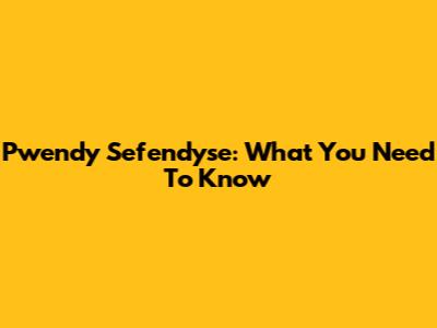 Pwendy Sefendyse: What You Need To Know