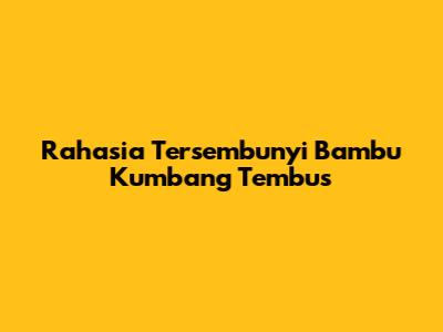Rahasia Tersembunyi Bambu Kumbang Tembus