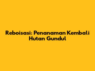 Reboisasi: Penanaman Kembali Hutan Gundul