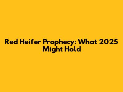 Red Heifer Prophecy: What 2025 Might Hold