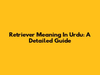 Retriever Meaning In Urdu: A Detailed Guide