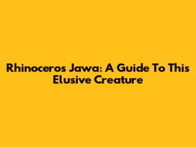Rhinoceros Jawa: A Guide To This Elusive Creature