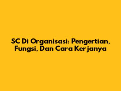 SC Di Organisasi: Pengertian, Fungsi, Dan Cara Kerjanya