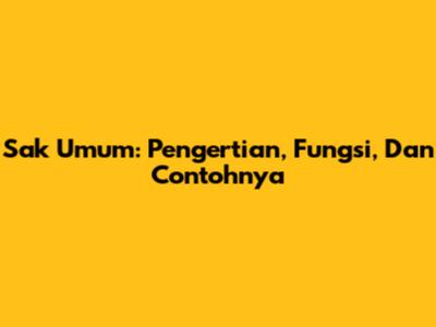 Sak Umum: Pengertian, Fungsi, Dan Contohnya