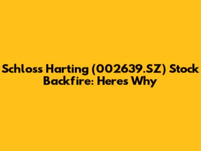 Schloss Harting (002639.SZ) Stock Backfire: Here's Why