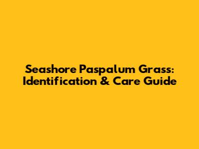 Seashore Paspalum Grass: Identification & Care Guide