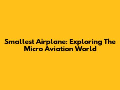 Smallest Airplane: Exploring The Micro Aviation World