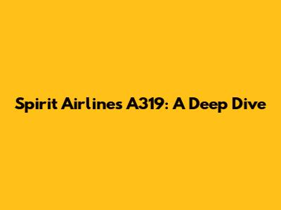 Spirit Airlines A319: A Deep Dive