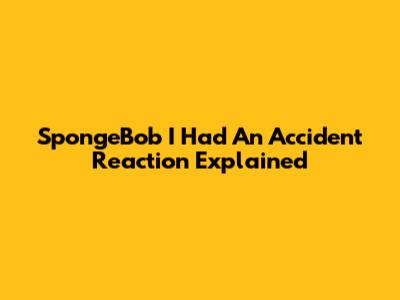 SpongeBob "I Had An Accident" Reaction Explained