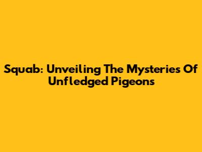 Squab: Unveiling The Mysteries Of Unfledged Pigeons