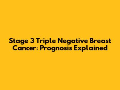 Stage 3 Triple Negative Breast Cancer: Prognosis Explained